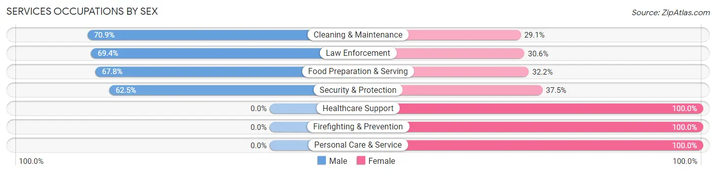 Services Occupations by Sex in Zip Code 63382