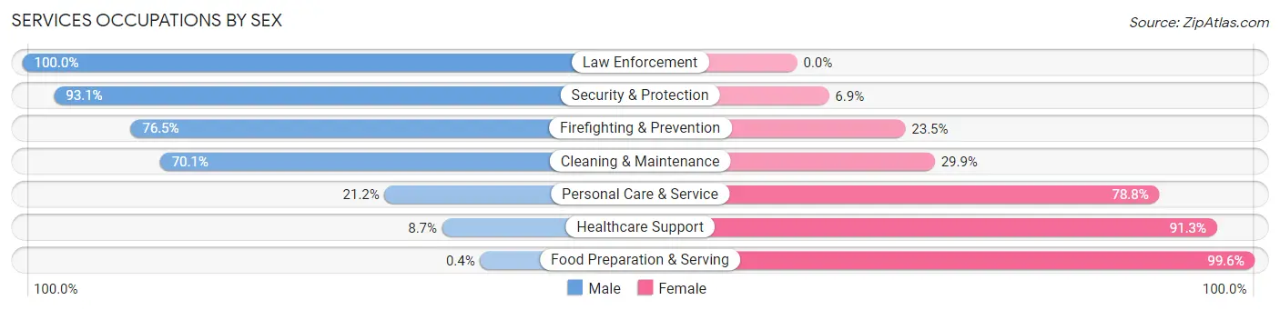 Services Occupations by Sex in Zip Code 63383