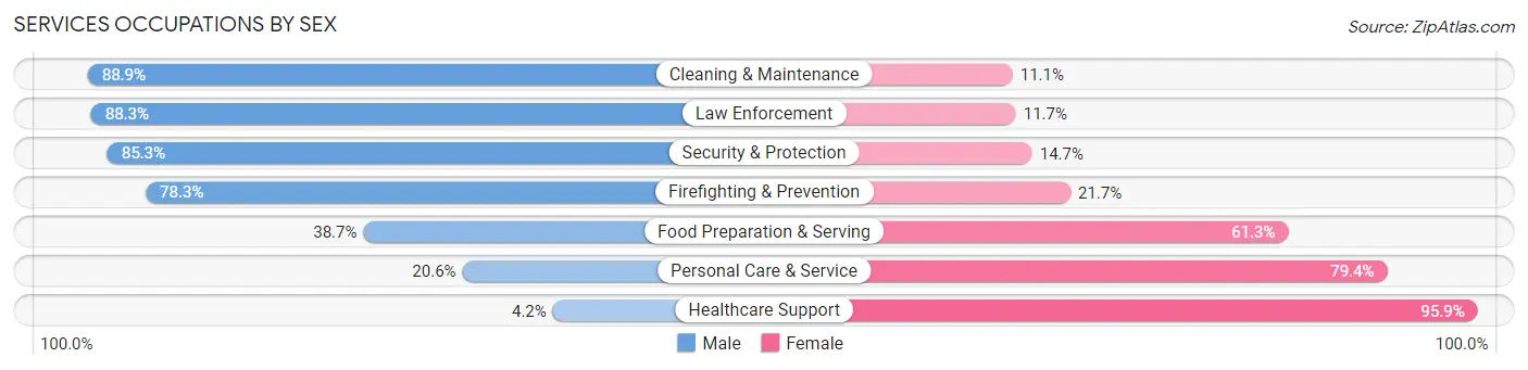 Services Occupations by Sex in Zip Code 63385