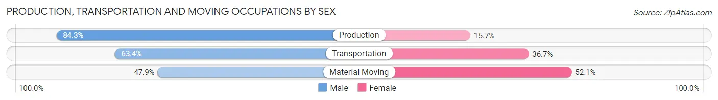 Production, Transportation and Moving Occupations by Sex in Zip Code 63389