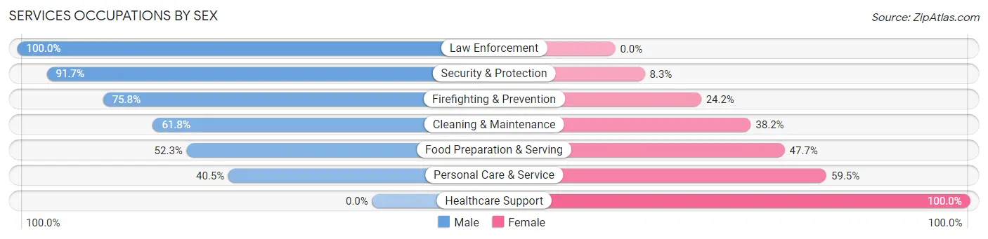 Services Occupations by Sex in Zip Code 63389