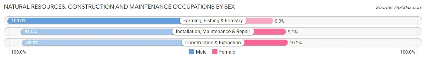 Natural Resources, Construction and Maintenance Occupations by Sex in Zip Code 63401