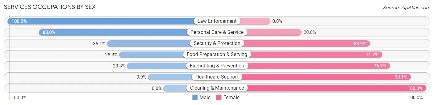 Services Occupations by Sex in Zip Code 63435