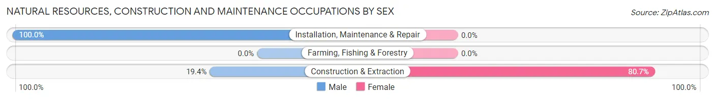 Natural Resources, Construction and Maintenance Occupations by Sex in Zip Code 63448