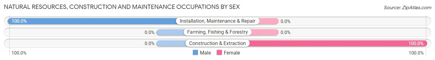 Natural Resources, Construction and Maintenance Occupations by Sex in Zip Code 63458