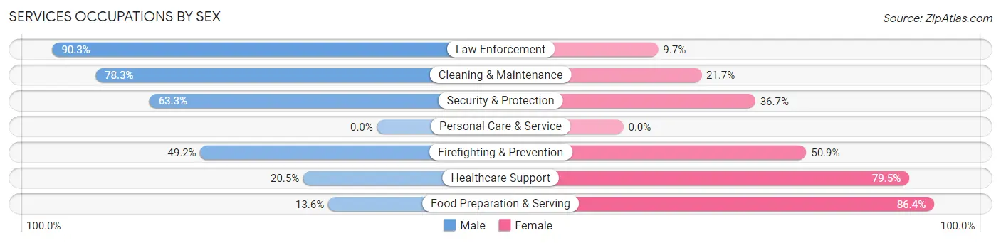 Services Occupations by Sex in Zip Code 63459