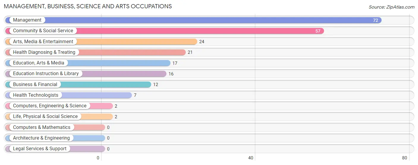 Management, Business, Science and Arts Occupations in Zip Code 63462