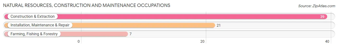 Natural Resources, Construction and Maintenance Occupations in Zip Code 63462