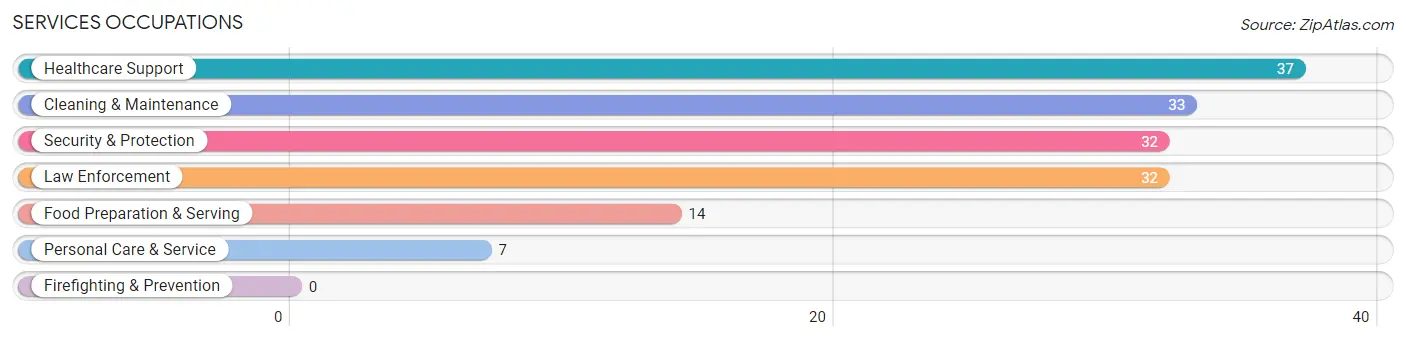 Services Occupations in Zip Code 63462