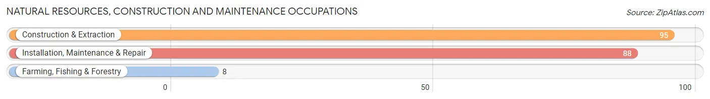 Natural Resources, Construction and Maintenance Occupations in Zip Code 63468