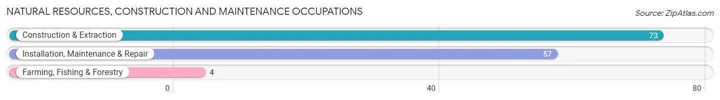 Natural Resources, Construction and Maintenance Occupations in Zip Code 63532