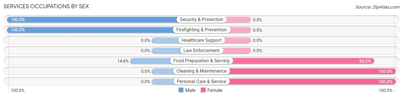 Services Occupations by Sex in Zip Code 63533