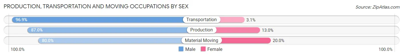 Production, Transportation and Moving Occupations by Sex in Zip Code 63536