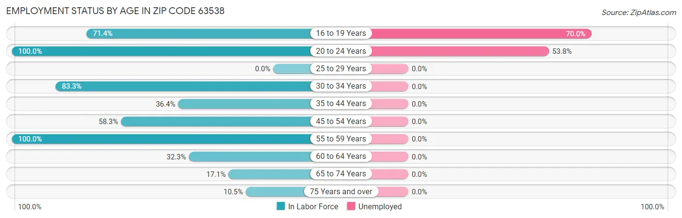 Employment Status by Age in Zip Code 63538