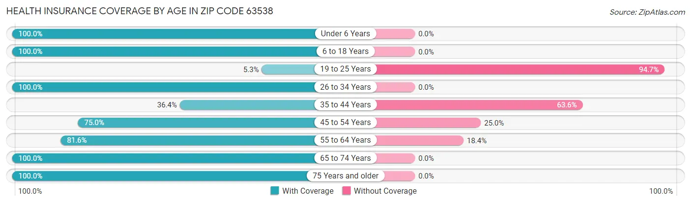 Health Insurance Coverage by Age in Zip Code 63538