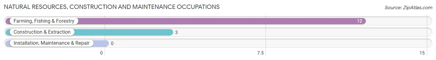 Natural Resources, Construction and Maintenance Occupations in Zip Code 63539