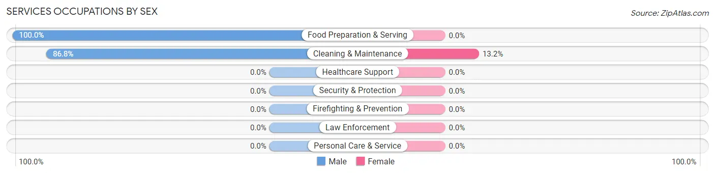 Services Occupations by Sex in Zip Code 63541