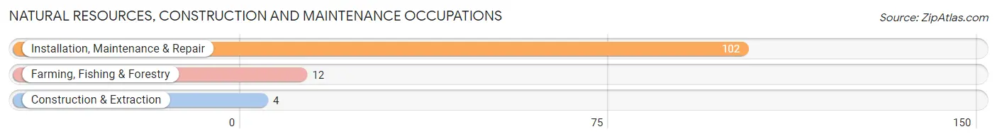 Natural Resources, Construction and Maintenance Occupations in Zip Code 63546