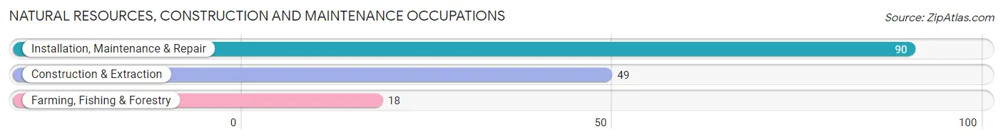 Natural Resources, Construction and Maintenance Occupations in Zip Code 63549