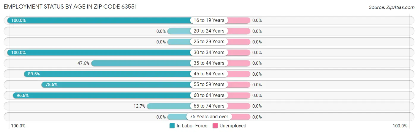 Employment Status by Age in Zip Code 63551