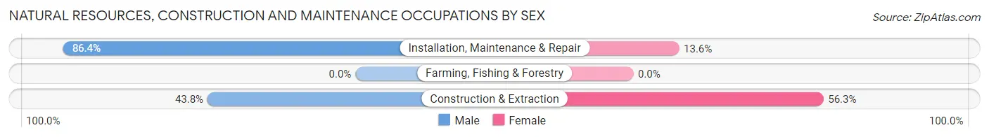 Natural Resources, Construction and Maintenance Occupations by Sex in Zip Code 63626