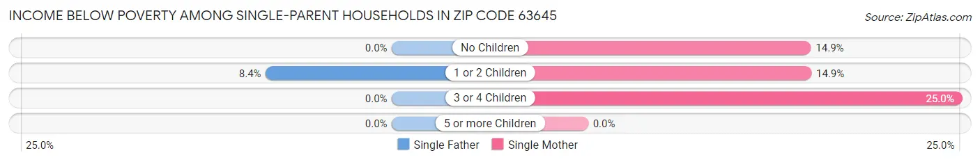 Income Below Poverty Among Single-Parent Households in Zip Code 63645