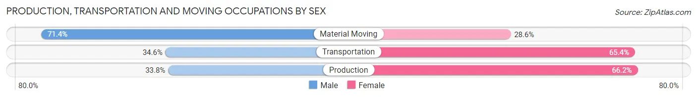 Production, Transportation and Moving Occupations by Sex in Zip Code 63648