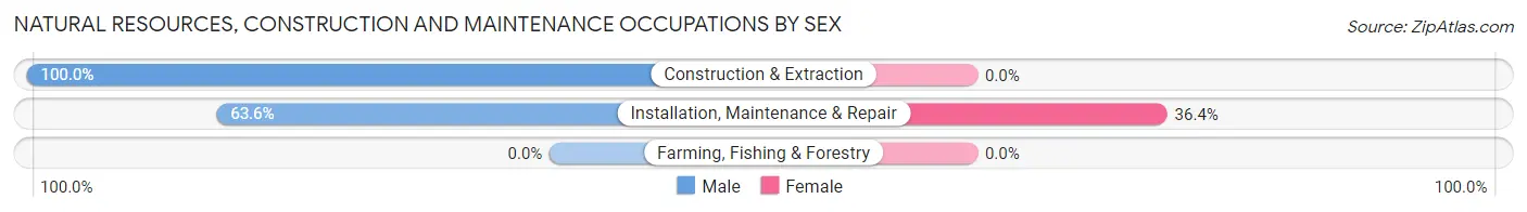 Natural Resources, Construction and Maintenance Occupations by Sex in Zip Code 63653