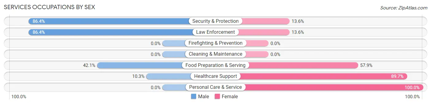 Services Occupations by Sex in Zip Code 63653