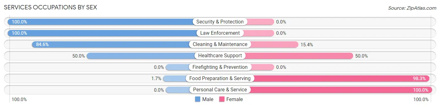 Services Occupations by Sex in Zip Code 63673