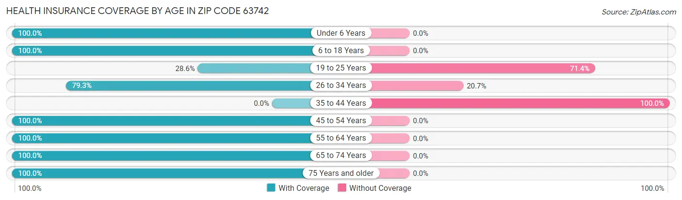 Health Insurance Coverage by Age in Zip Code 63742
