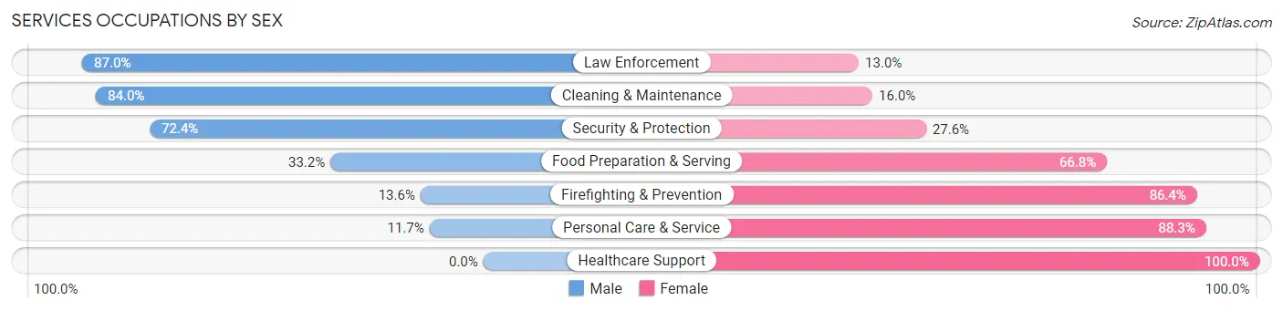 Services Occupations by Sex in Zip Code 63755