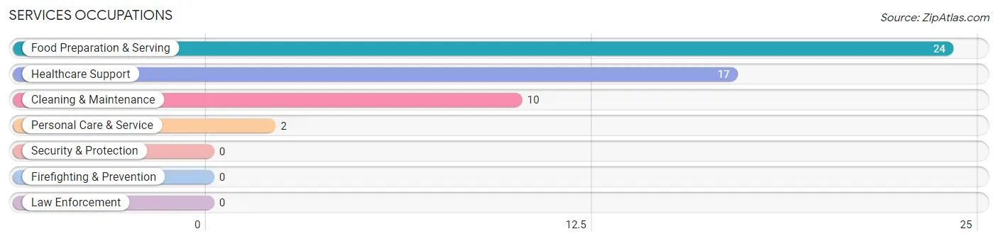 Services Occupations in Zip Code 63767