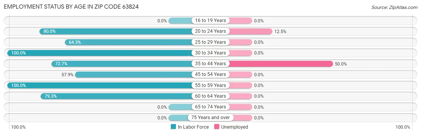 Employment Status by Age in Zip Code 63824