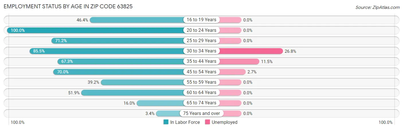 Employment Status by Age in Zip Code 63825