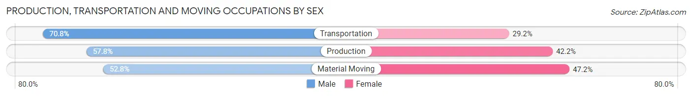 Production, Transportation and Moving Occupations by Sex in Zip Code 63825
