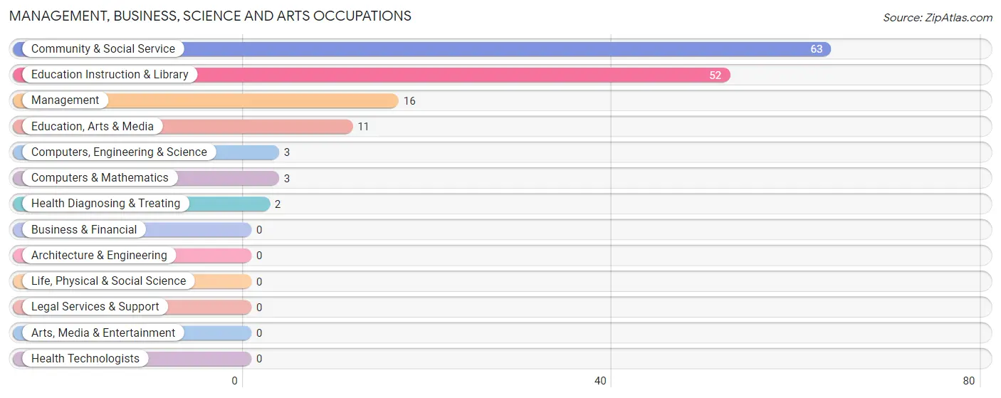 Management, Business, Science and Arts Occupations in Zip Code 63829