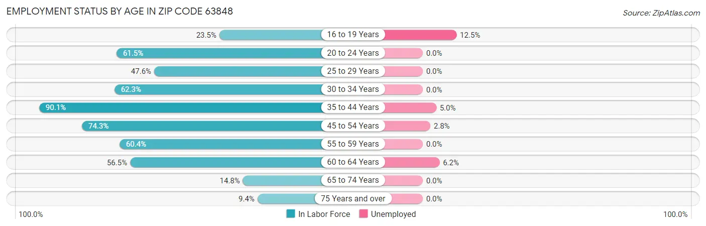 Employment Status by Age in Zip Code 63848