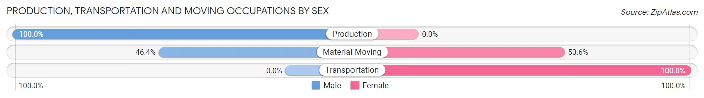 Production, Transportation and Moving Occupations by Sex in Zip Code 63848