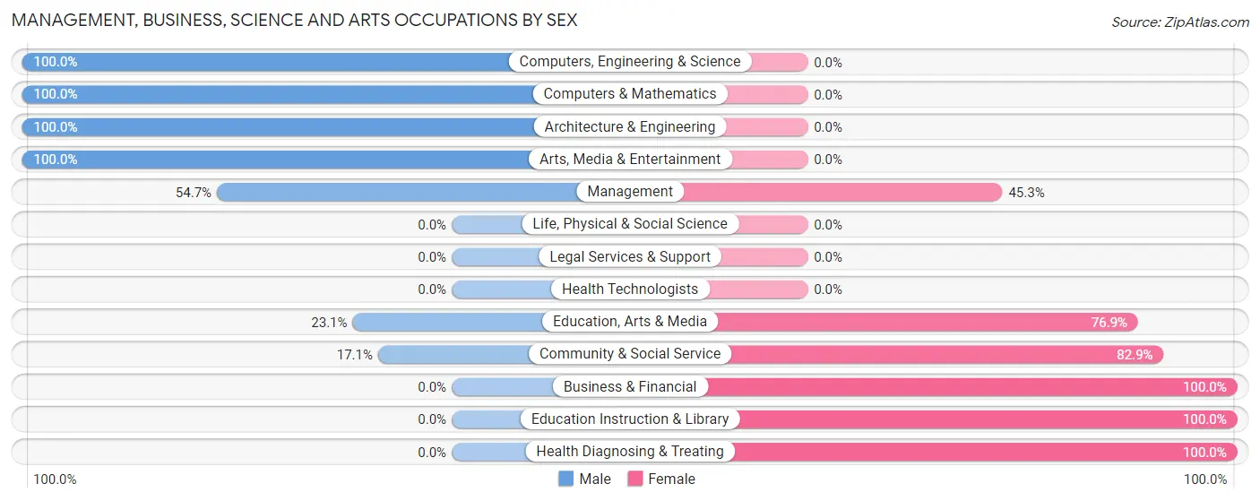 Management, Business, Science and Arts Occupations by Sex in Zip Code 63851