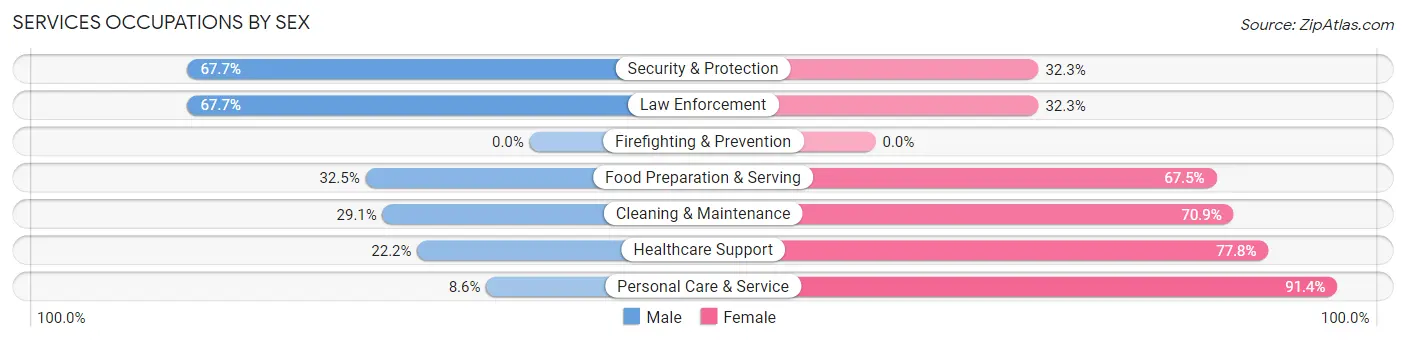 Services Occupations by Sex in Zip Code 63851