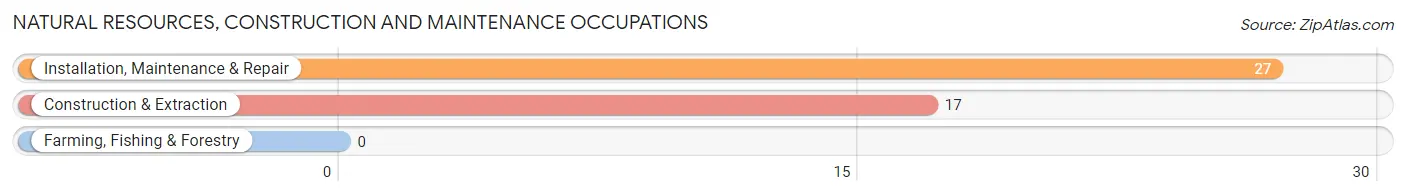 Natural Resources, Construction and Maintenance Occupations in Zip Code 63852