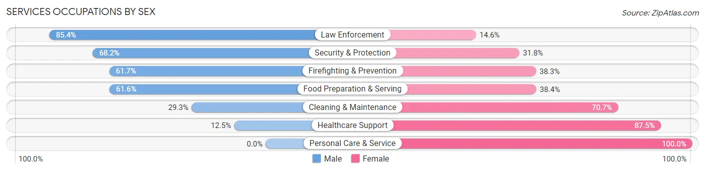 Services Occupations by Sex in Zip Code 63857