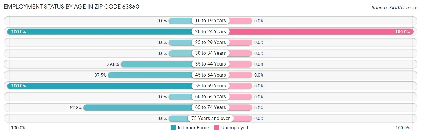 Employment Status by Age in Zip Code 63860