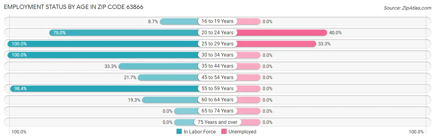 Employment Status by Age in Zip Code 63866
