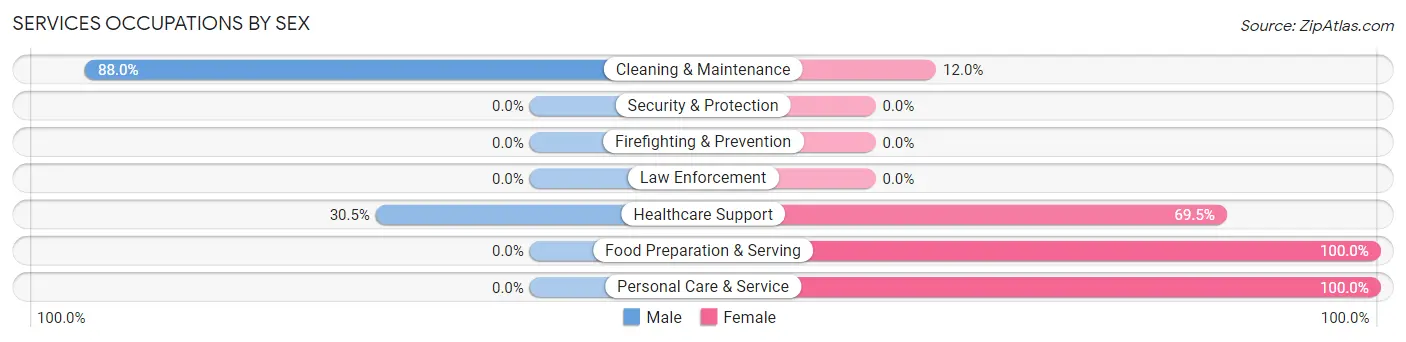Services Occupations by Sex in Zip Code 63869
