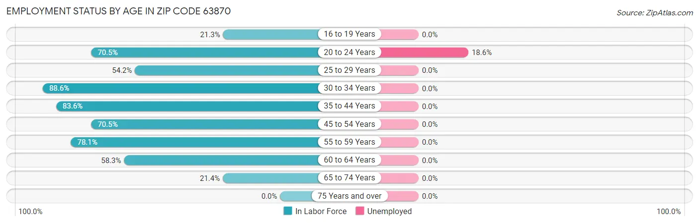 Employment Status by Age in Zip Code 63870