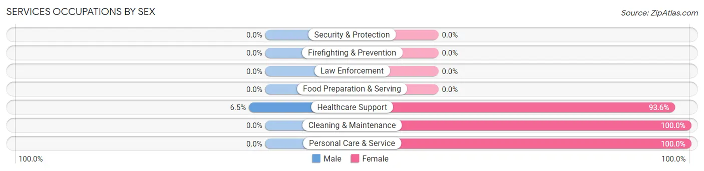 Services Occupations by Sex in Zip Code 63870