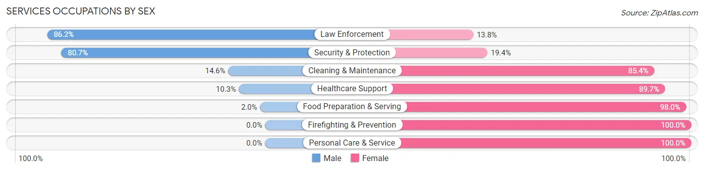 Services Occupations by Sex in Zip Code 63873