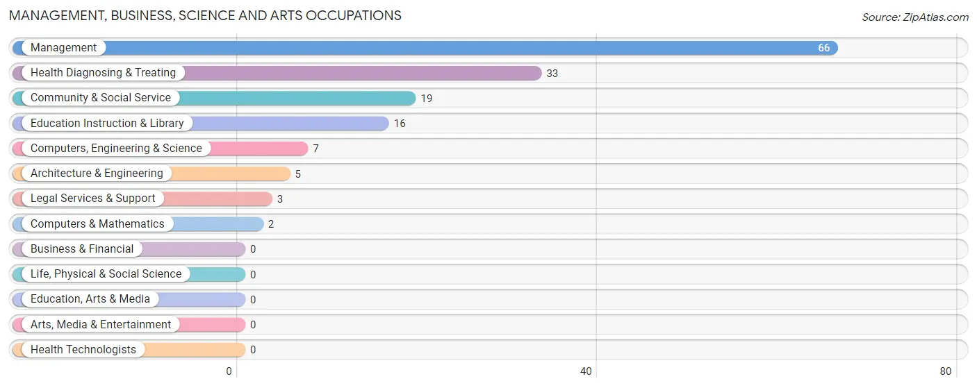 Management, Business, Science and Arts Occupations in Zip Code 63876